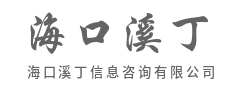 专业洞察，解码信息，赋能明智决策-海口溪丁信息咨询有限公司
